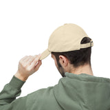 SWALLOWER Distressed Cap in 6 colors