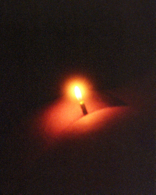 Pierce Amadeus, Birthday Cake, 2024