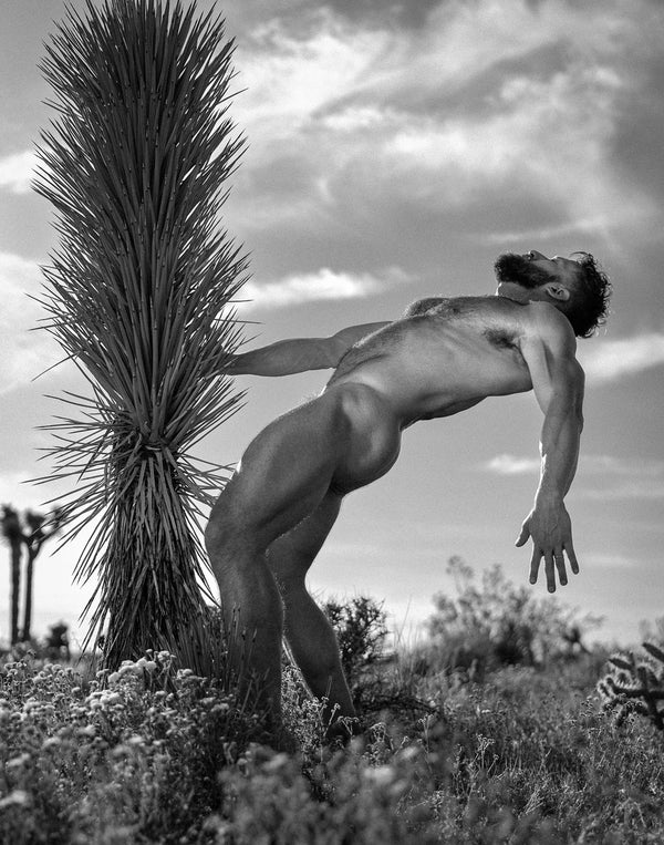 David Zimmerman, Creation of eros, 2023