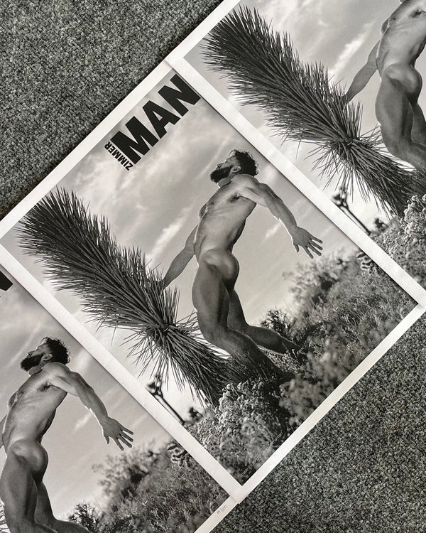 ZIMMER MAN POSTER ZINE BY DAVID ZIMMERMAN