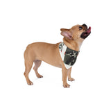 90S VINTAGE GAY PORN TRANSPARENCY Pet Bandana