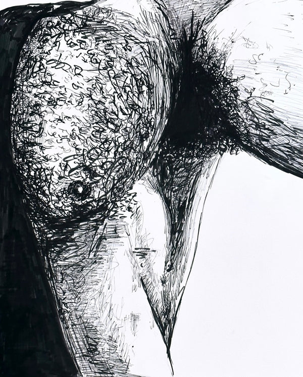 jason salstein, Pec, Pit, and Lat, 2024