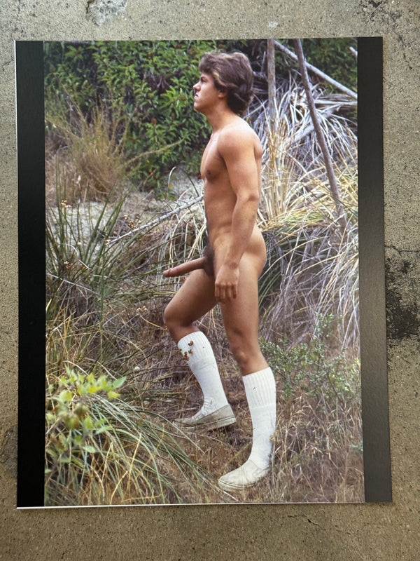 AARON STUDIOS: STEVE YORK #60