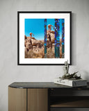 Darren Greenblatt, DZ Climbing (Joshua Tree), 2025