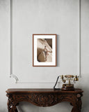 Gabriel Yuri, The Way Up, 2024