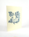 SMART BARNETT GIFT CARD SET OF 6