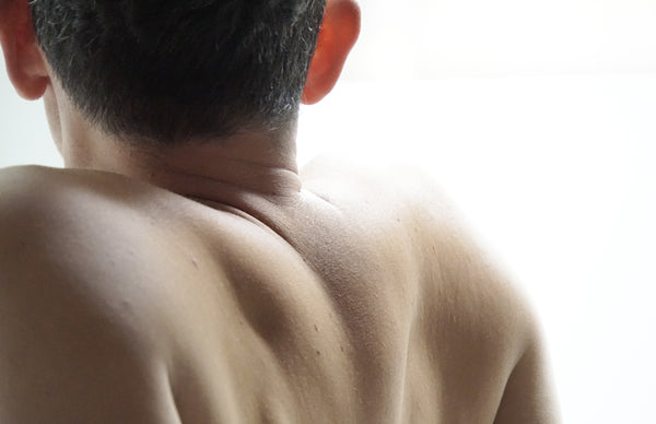 Gabriel Yuri, Portal View, 2022