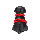 Bondage Puppy Roped Up Rover Pup