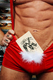 Tom of Finland Wooden Postcard: Sleigh Ride