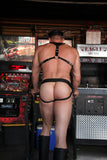 Hercules Harness by Zana Bayne