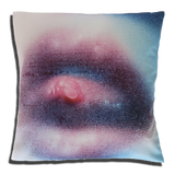 Marilyn Minter Pillow for Henzel Studio