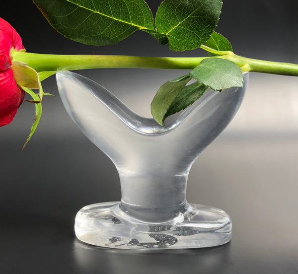 Anchored Clear Anal Plug