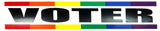 VOTER VINTAGE BUMBER STICKER