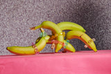 Enhance 6 Piece Cock Ring Set