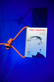 Andy Warhol: The Alchemist of the Sixties
