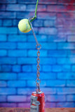 Hitch Metal Ball Stretcher with Chains