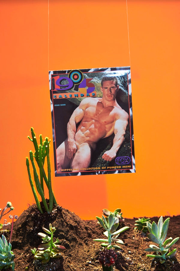 Vintage Fox Studio 1996 Wall Calendar